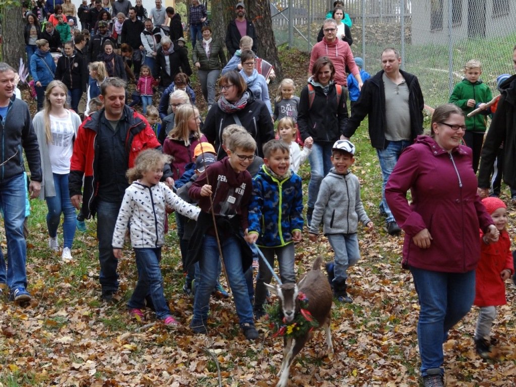 1. Luher Goaßabtrieb 11
