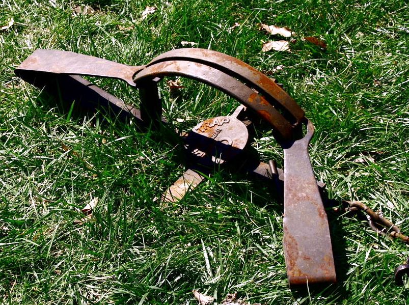 Schlagfalle, Falle, Tellereisen, Symbol