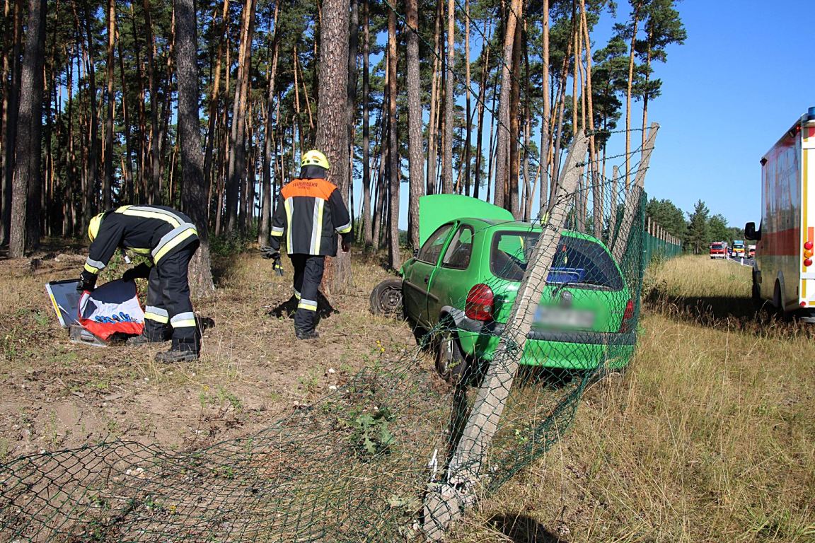 Unfall Mantel Wildgehege