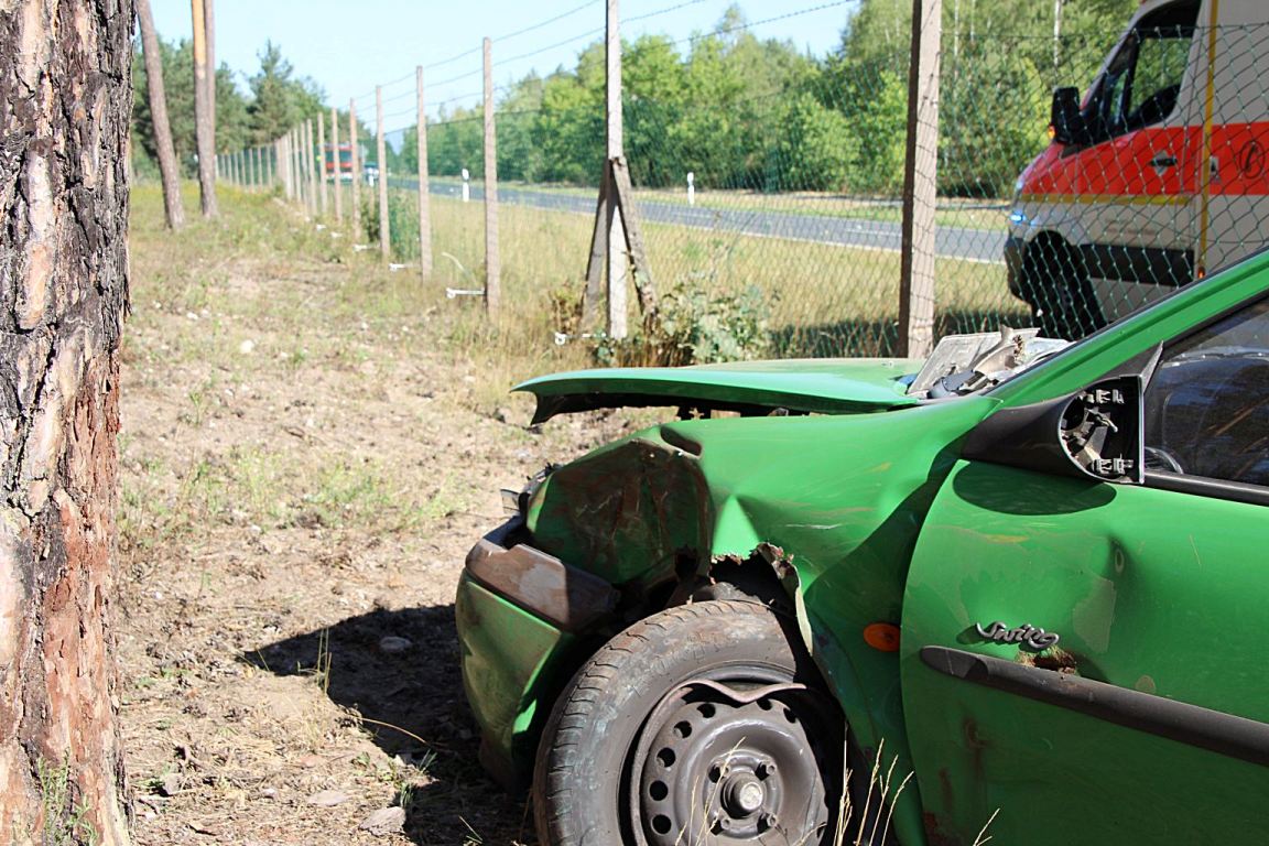 Unfall Mantel Wildgehege