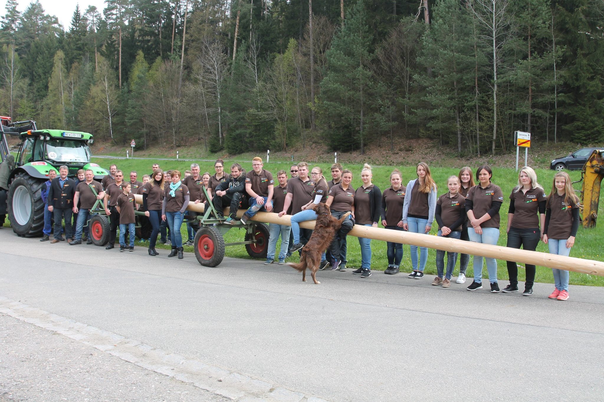 Maibaum wechsel dich - Oder, wie man ohne Aufwand an einen Baum kommt