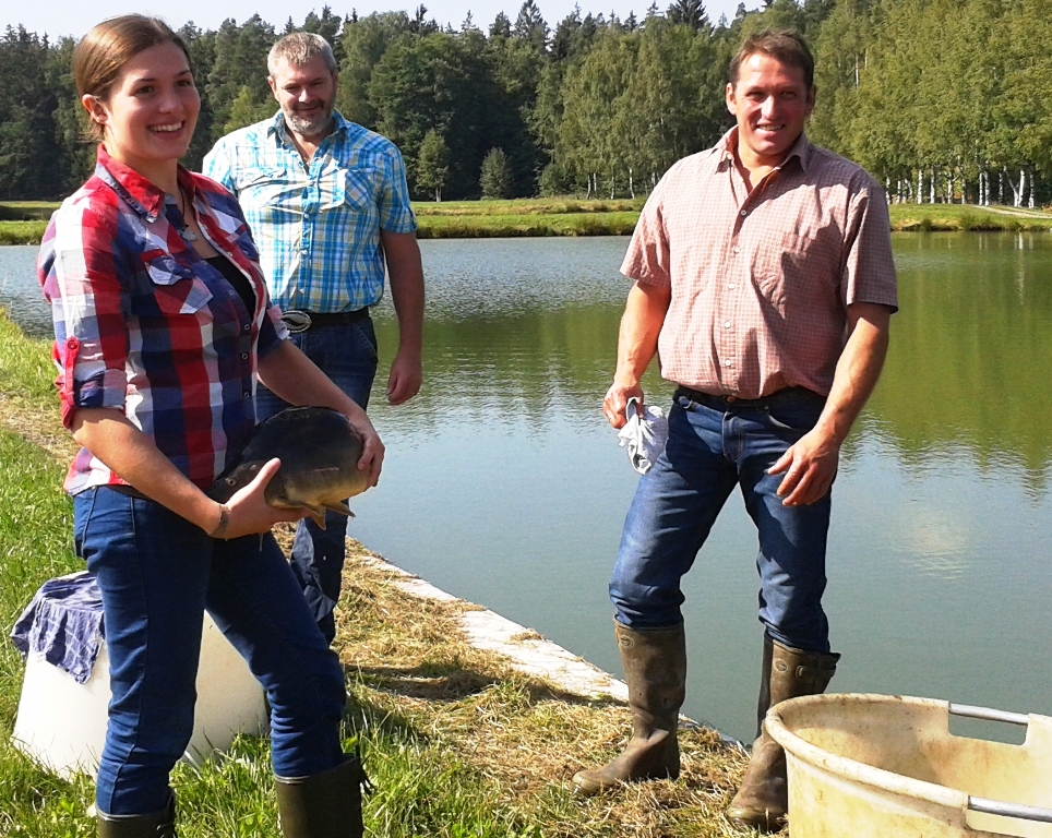 150911_Fettmessung_Karpfen2