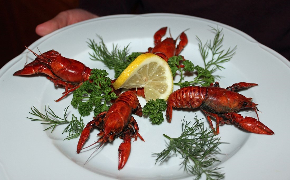 Krebsessen ARGE Fisch Kamberkrebs