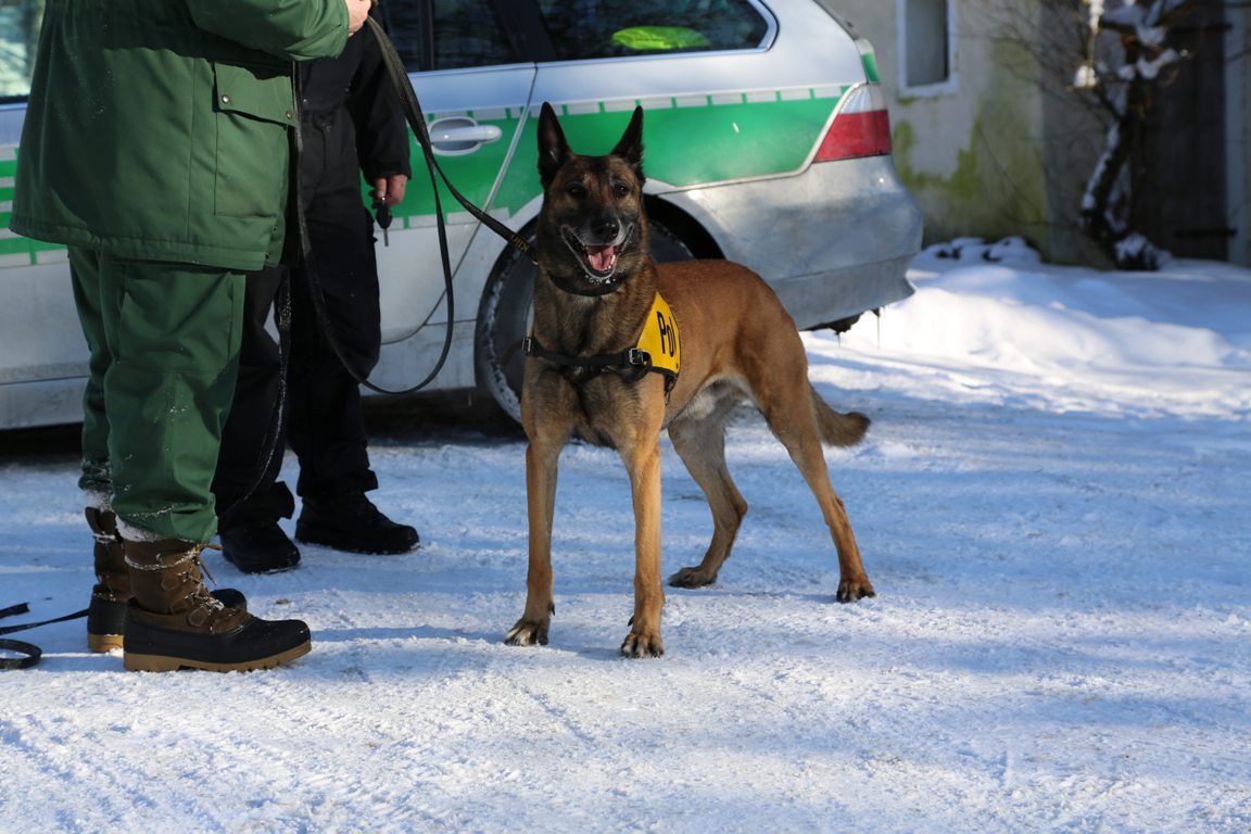 160122_Vermisstensuche_Rehau_02