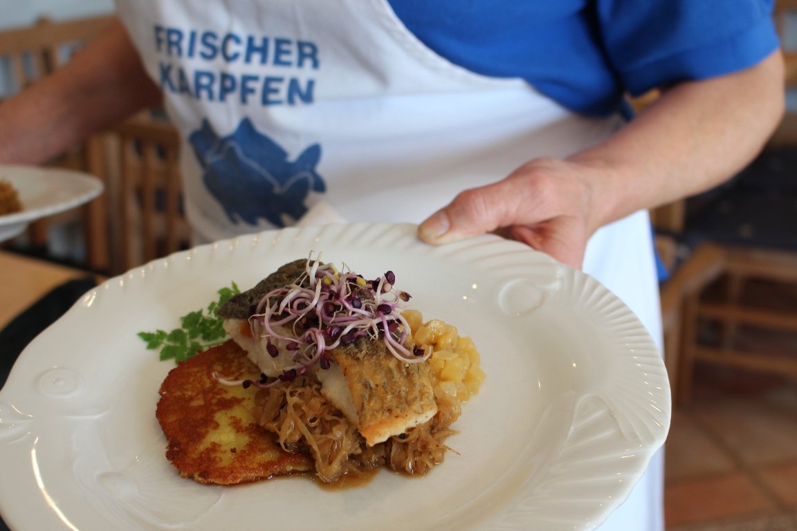 160505_Stiftlaender-Graskarpfen-angerichtet, Neualbenreuth, Karpfen