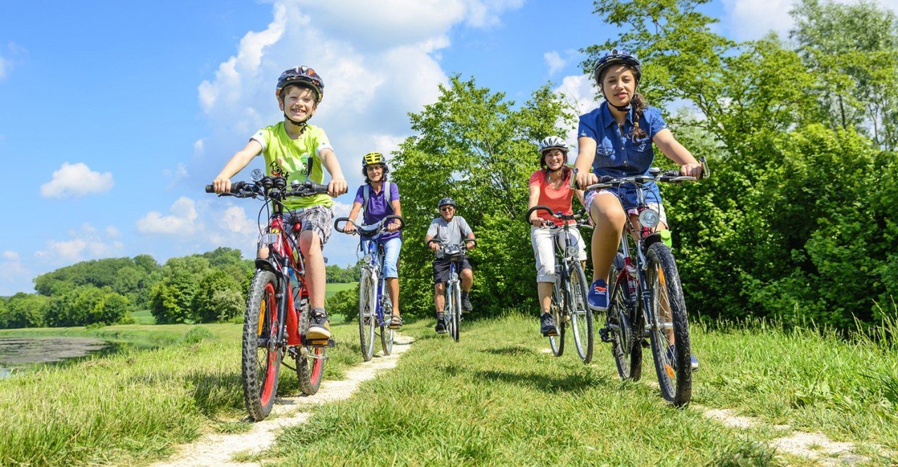 Mit dem Förster durch den Stadtwald