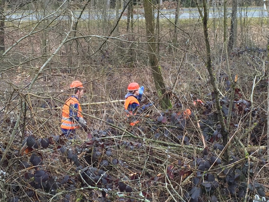 Rama Dama Jugendfeuerwehr Parkstein