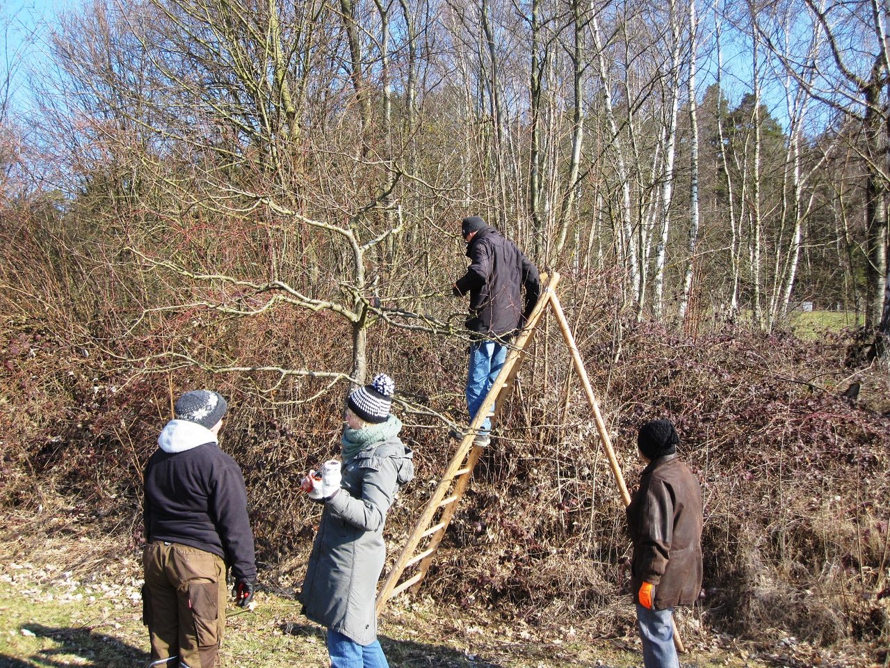 201603_Baumschnittkurs-Oberpfälzer-Freilandmuseum
