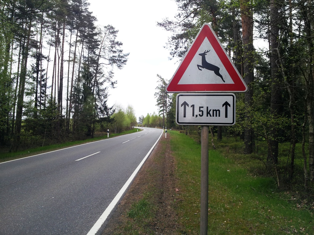 Symbol, Vorsicht Wild, Reh, Schild, Polizei, Warnung, Wildwechsel