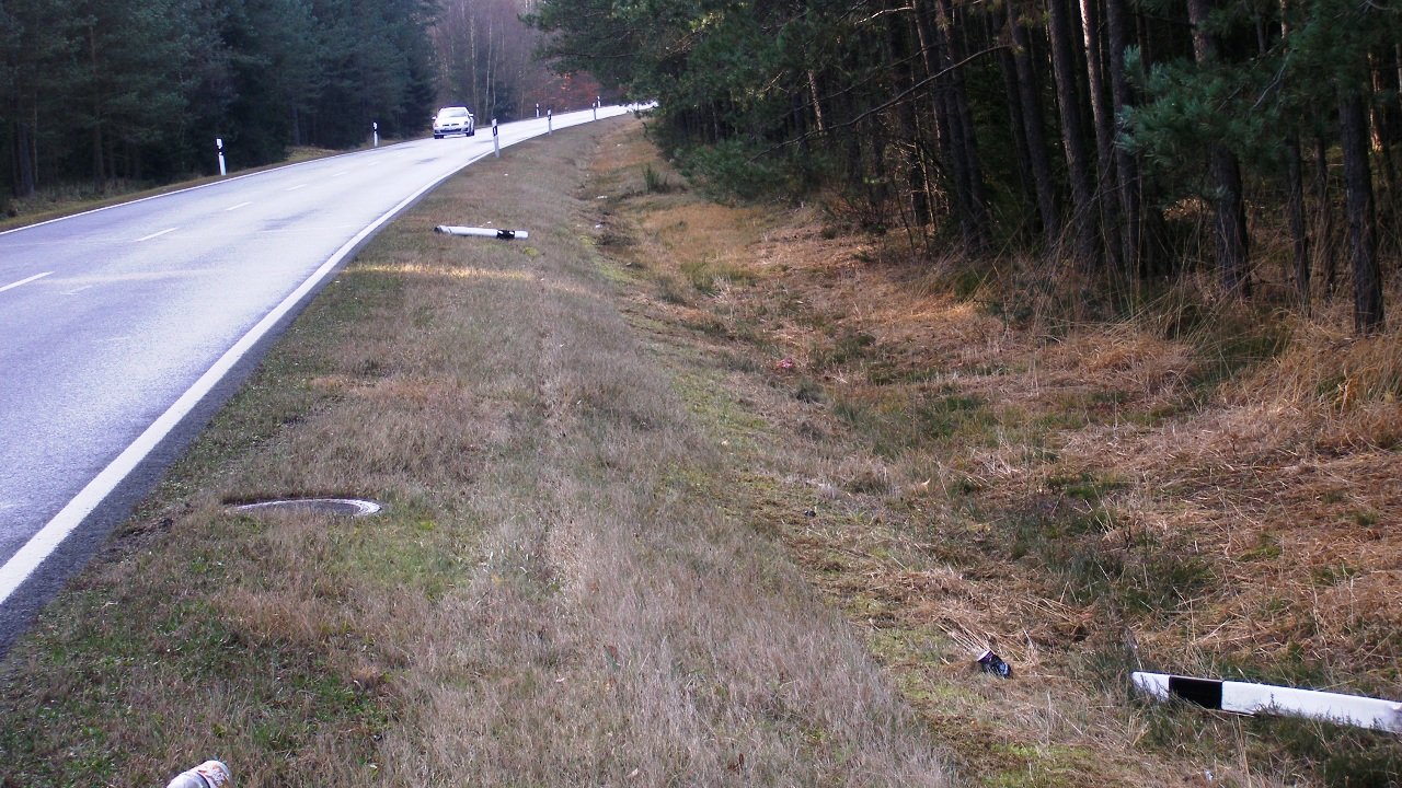 Held Gerhard Pflaum Auto ausgebremst