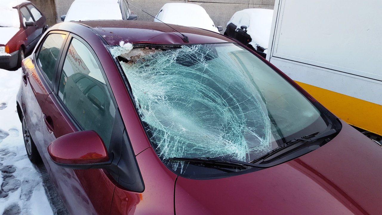 Unfall Schwan Weiden A93