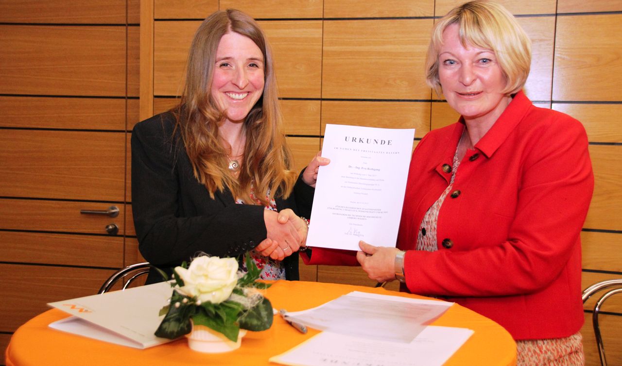 Prof Rothgang OTH Amberg Weiden