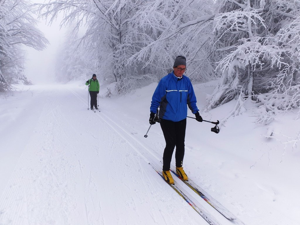 BVS Weiden Skilanglauf Training