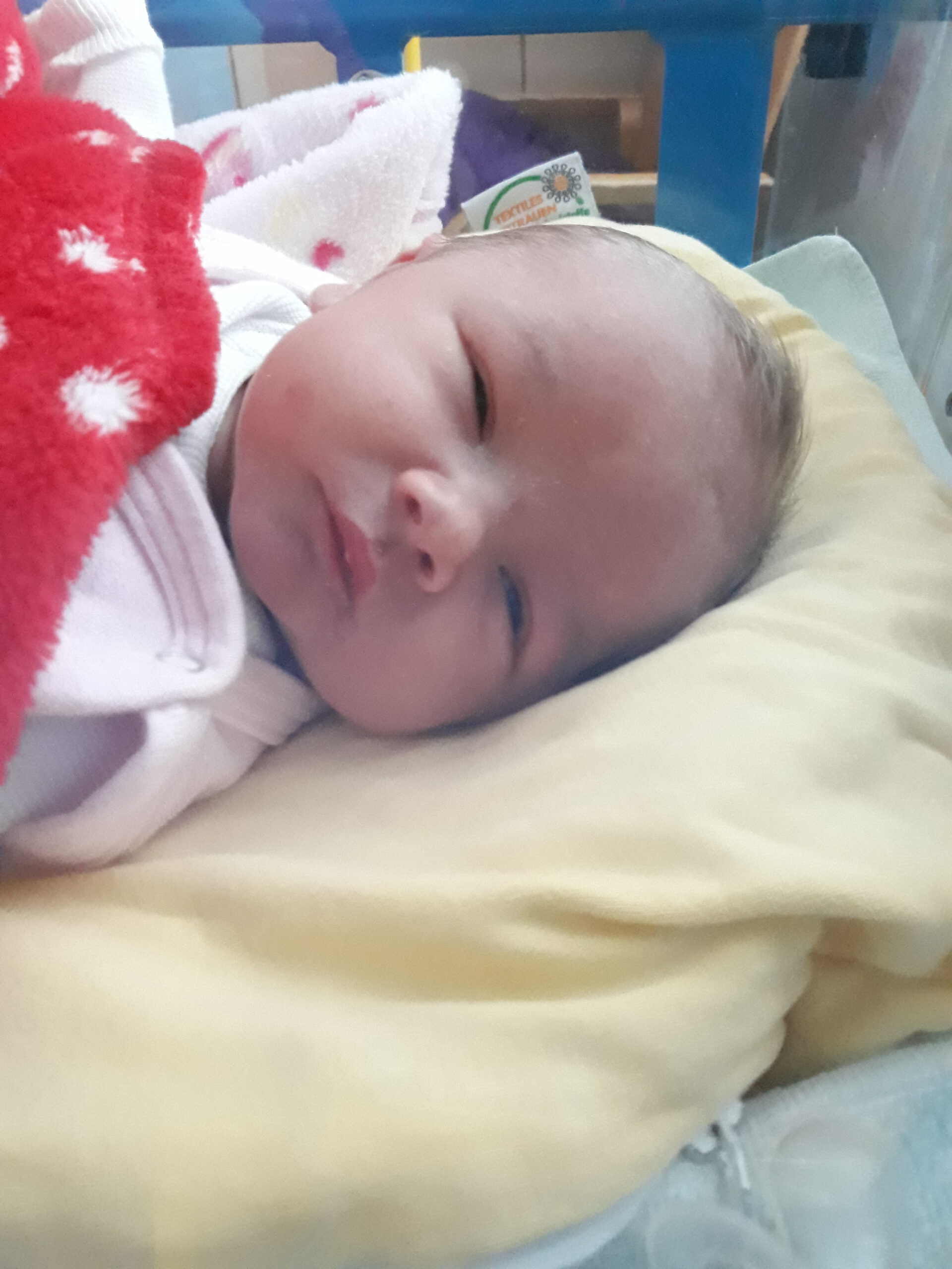 14.05.2020 Leeloo Walberer, Eltern: Jacqueline Walberer und Heiko Barth, Pressath 