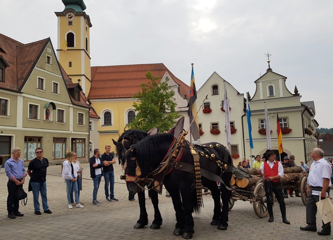800 Jahre Neustadt an der Waldnaab Festumzug (46)