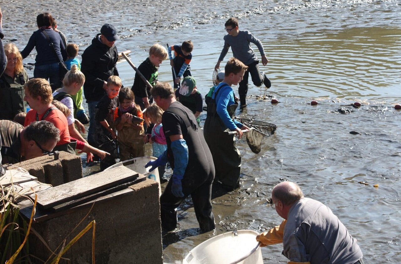 Abfischen_für_Kinder_Gowerlhof_2018 Bild ARGE Fisch im Landkreis Tirschenreuth