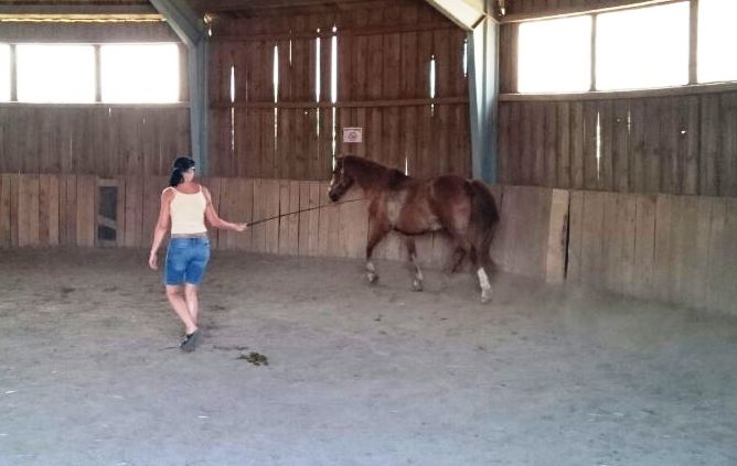 AhaouxlDE9-tZM5v7J6NN0DEZfGNy3VPBxqhHNphsqZC