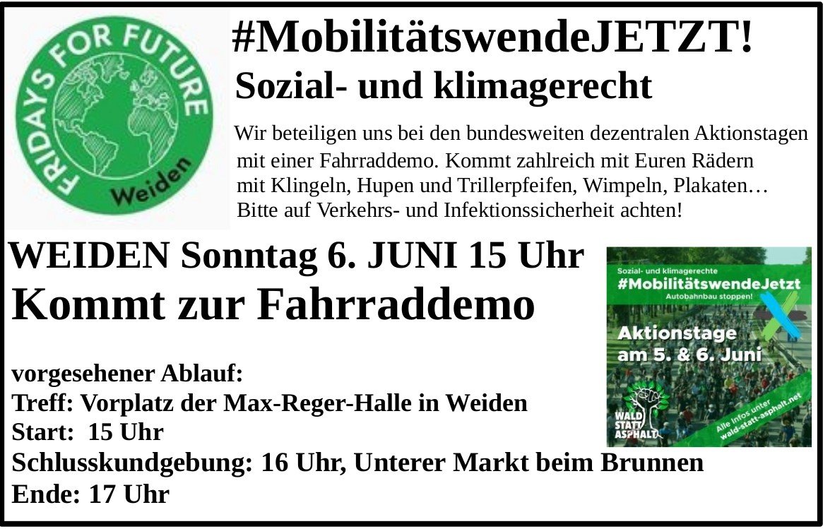 "Wald statt Asphalt": Fridays for Future Fahrraddemo