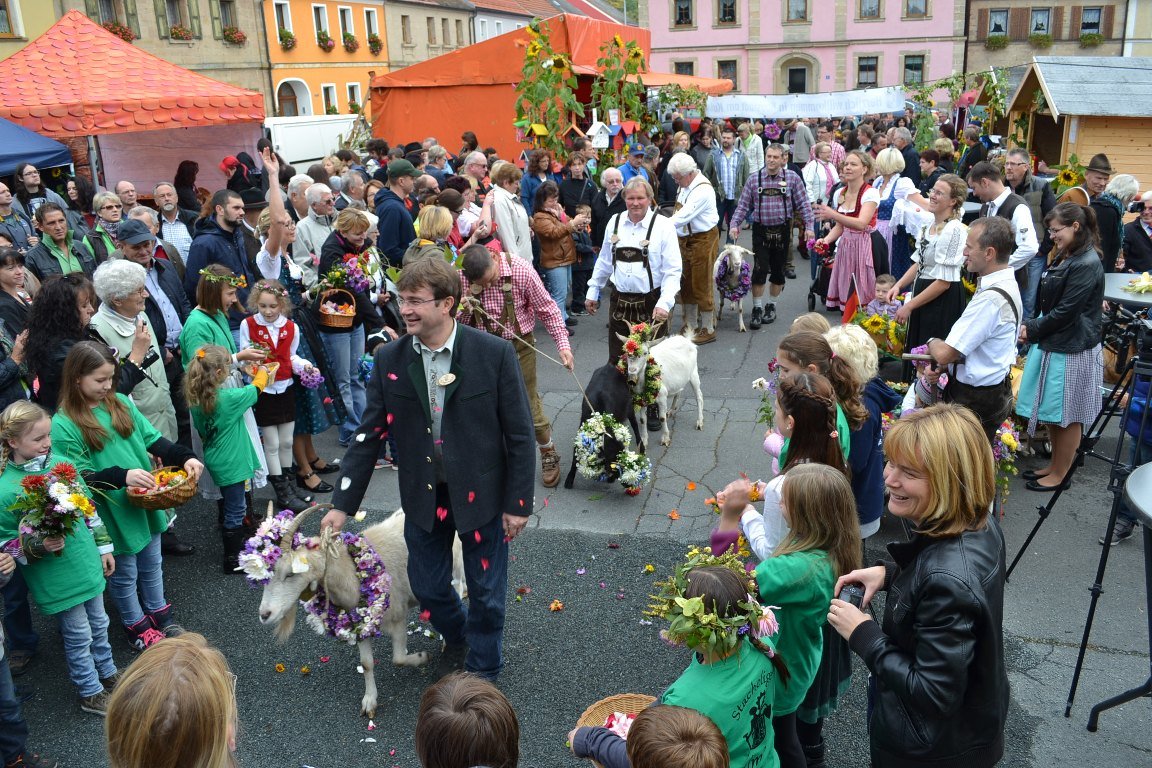 Hier sind Ziegen die Stars