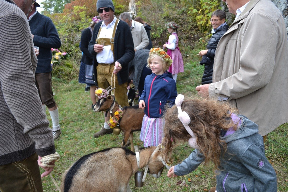 Almabtrieb Neustadt am Kulm 2019 (2)