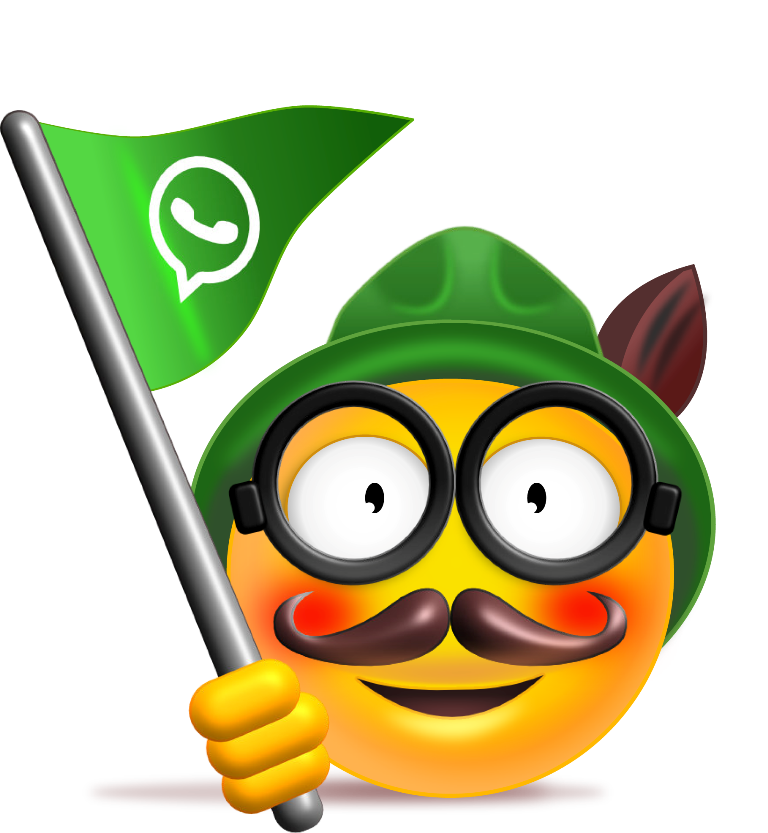 Alois Chatbot Stadt Tirschenreuth WhatsApp
