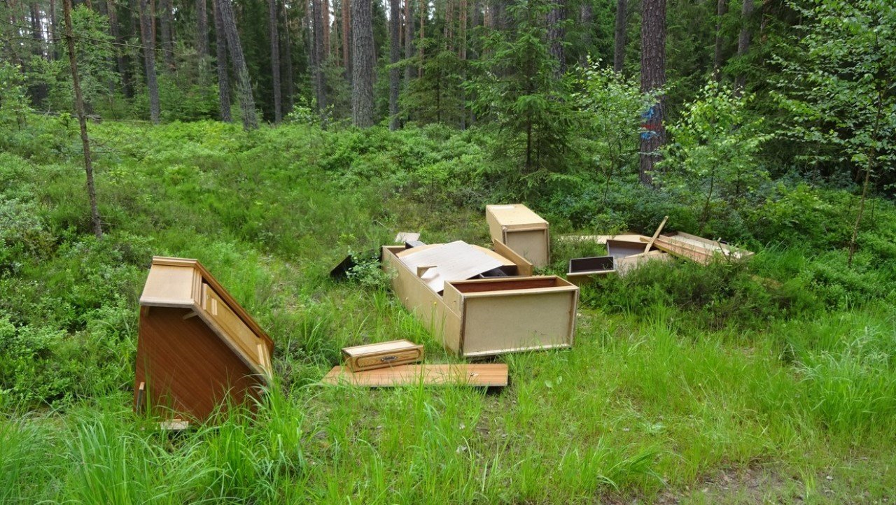 Altenstadt Meerbodenreuth Wald Müll Möbel entsorgt Symbol Symbolbild 11