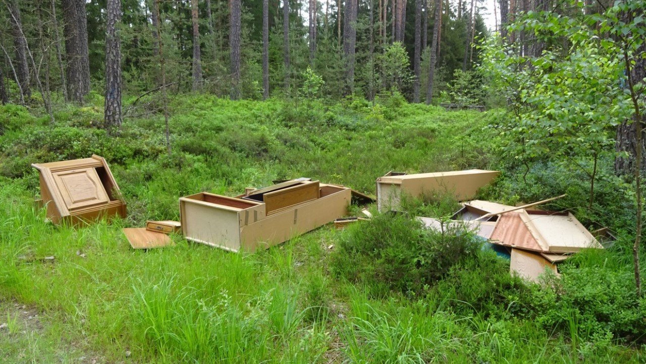 Altenstadt Meerbodenreuth Wald Müll Möbel entsorgt Symbol Symbolbild 12