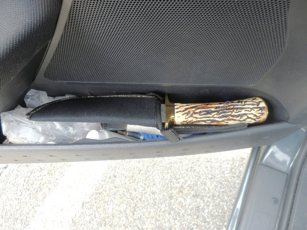 Hundewelpen geschmuggelt Chihuahua