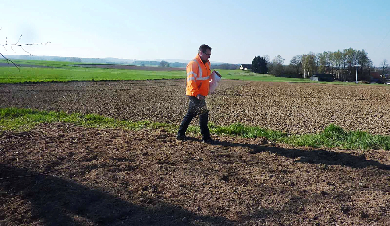 Aussaat Blühstreifen Landkreis Neustadt