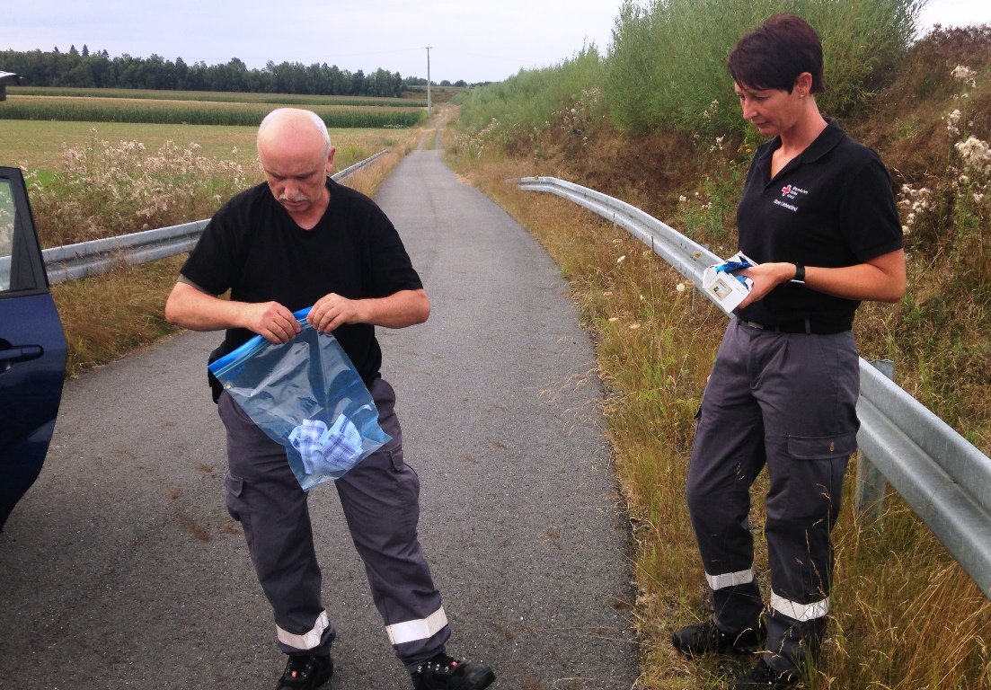 BRK Hundestaffel, Rettungshunde