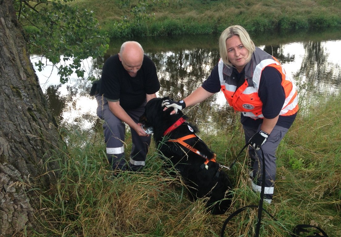 BRK Hundestaffel, Rettungshunde