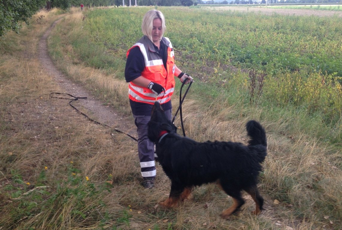 BRK Hundestaffel, Rettungshunde