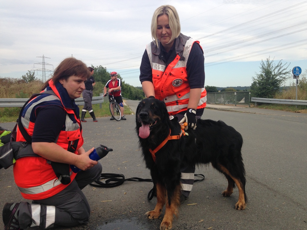 BRK Hundestaffel, Rettungshunde