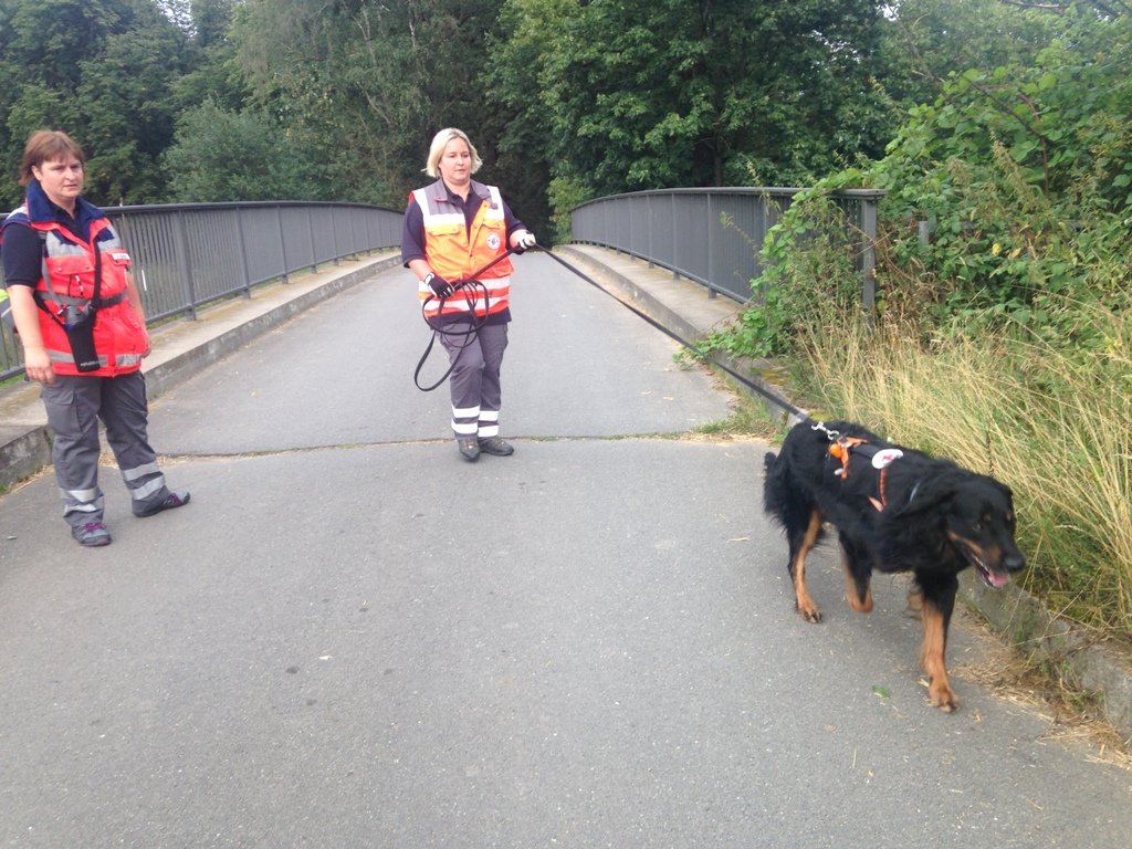 BRK Hundestaffel, Rettungshunde