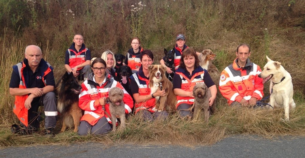 BRK Hundestaffel, Rettungshunde