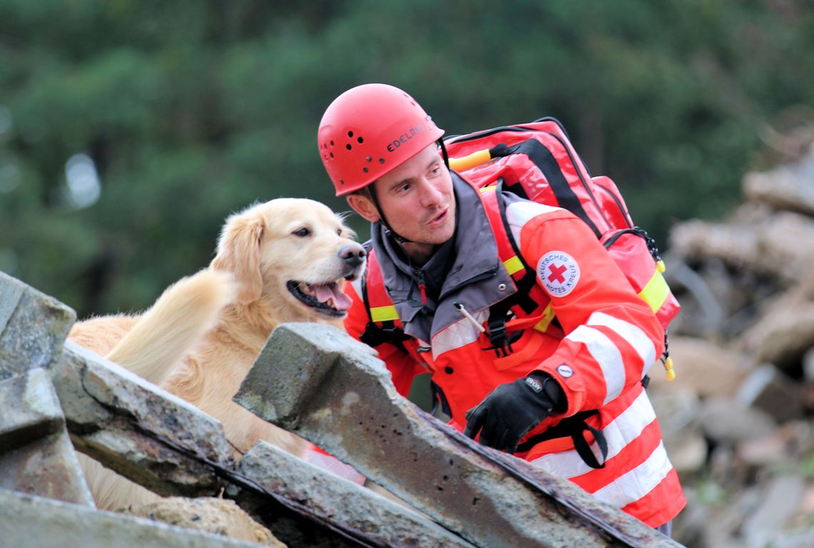BRK Rettungshundestaffel Hund Rettungshund Trümmerprüfung 3
