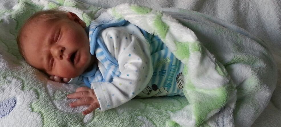 Baby, 01.08.2017 Benedikt Bösl, Eltern Christine und Christian Bösl, Oed