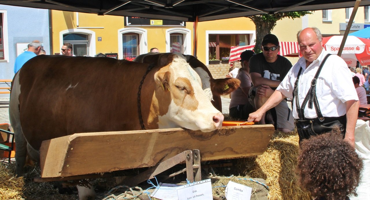 Bauernmarkt Eschenbach (10)