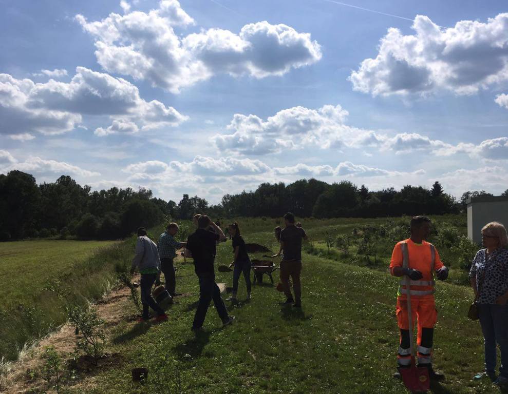 Rotaract Baumpflanzaktion 2016 Weiden