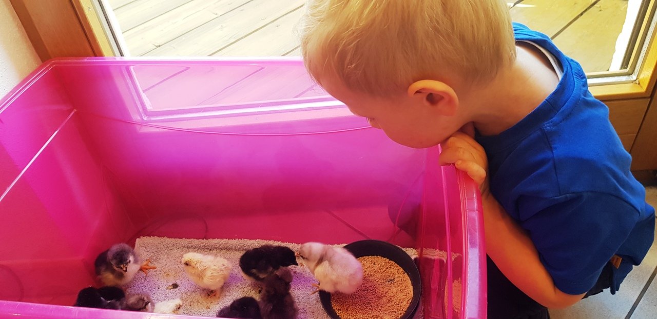 NEWs, die Mut machen