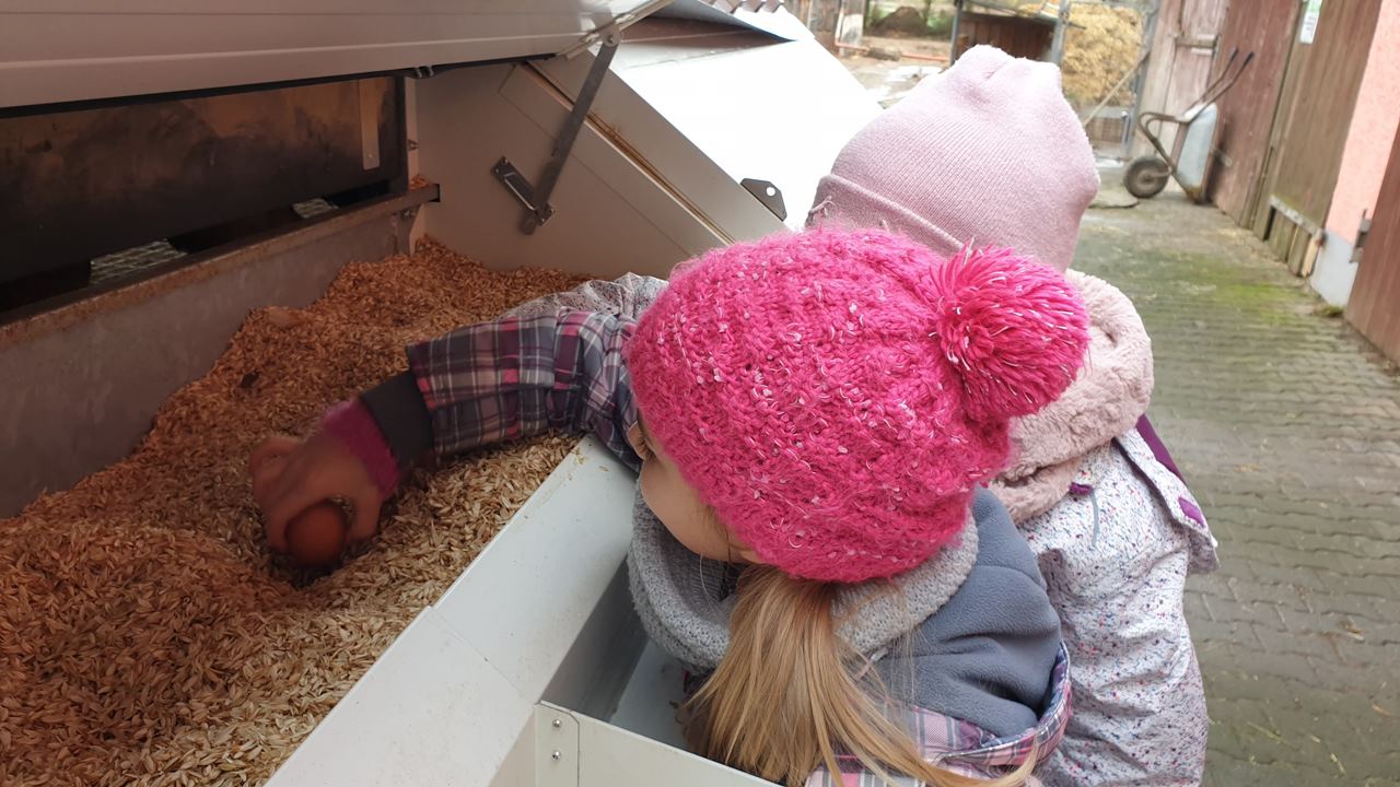 Besuch Familie Kick Bauernhof Luhe-Wildenau (6)