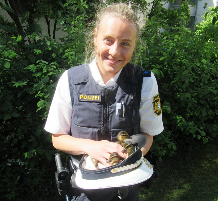 Enten Polizei Weiden