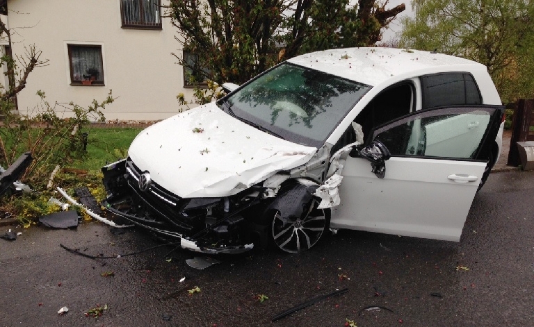 Hund ausgewichen: 37.000 Euro Schaden