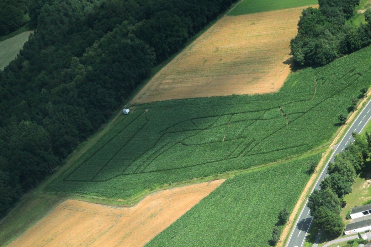 Maislabyrinth Altenstadt d'Wirtschaft