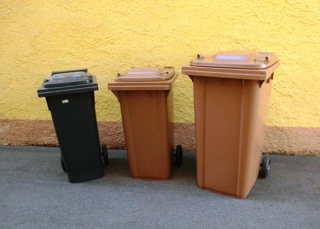 Kaufpreis der Biotonne fällig