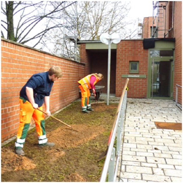 Blühstreifen Neues Rathaus Weiden Gartenarbeit Stadtgärtnerei