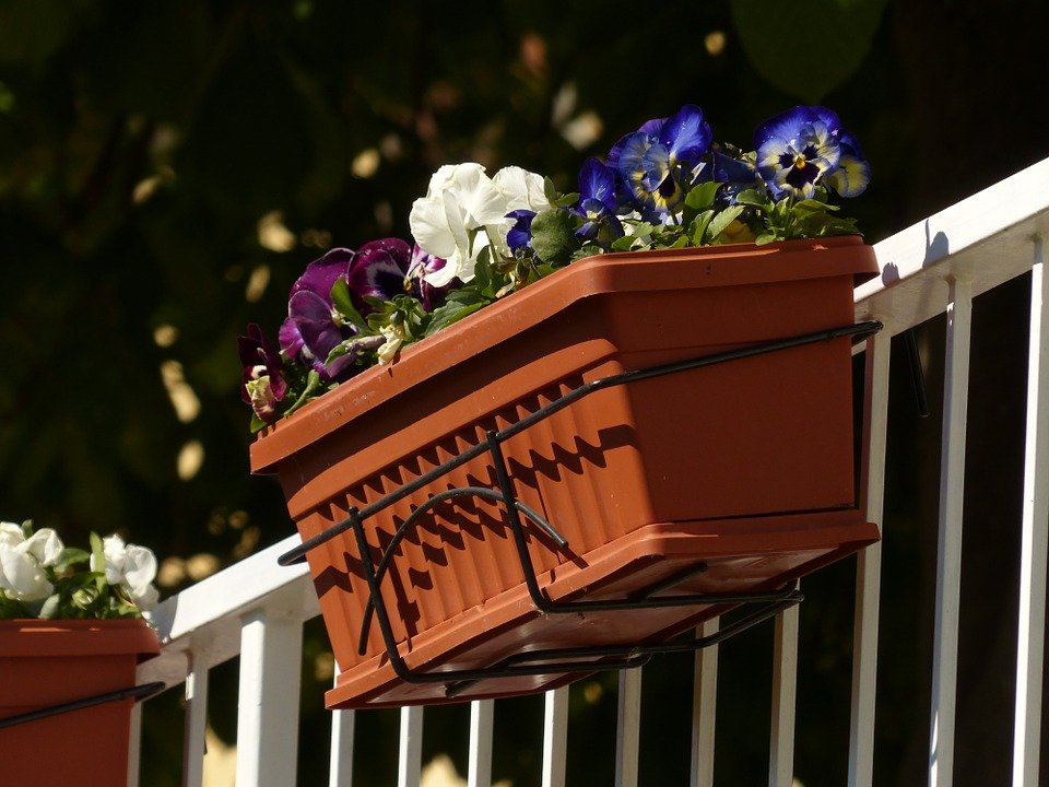 Pflanzen Garten Balkon Blumenkasten Symbol
