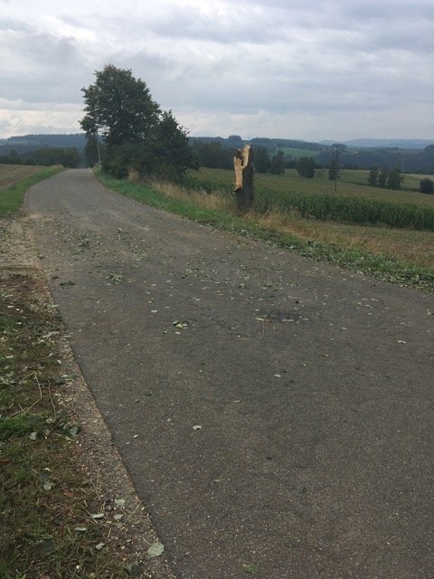 Buche Gewitterschaden Wittschau