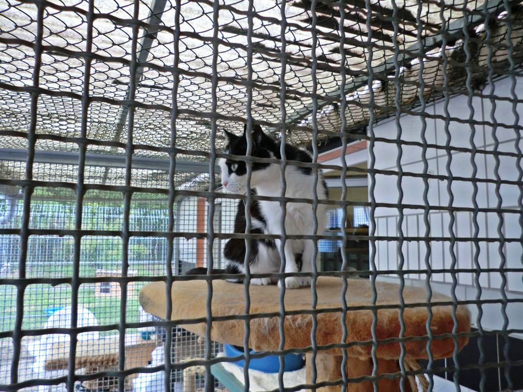 Tierheim Weiden Tag der offenen Tür