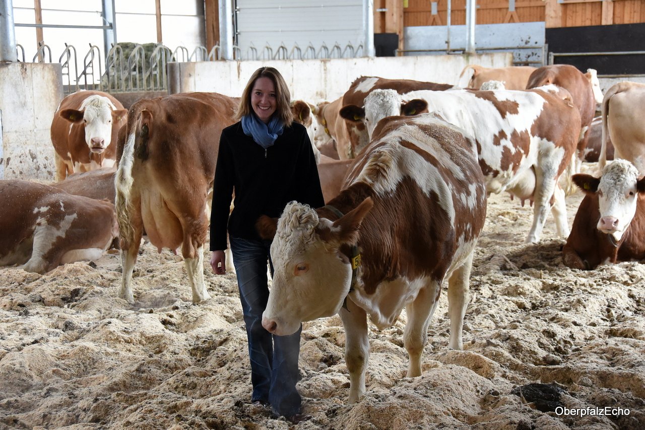 Carolin Weiß Kompoststall